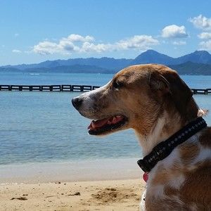 Meet your Posher, Mabel